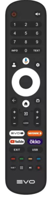 Телевизор EVO TV 50 BLACK - фото6