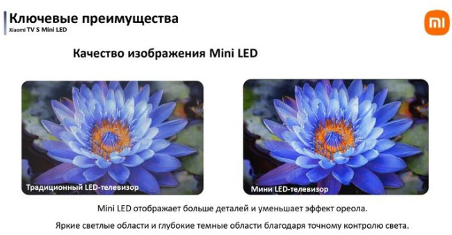 MiniLED телевизор Xiaomi TV S Mini LED 55