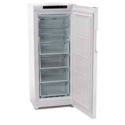 Морозильник Indesit DFZ 4150 - фото2