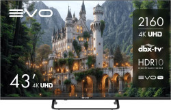 Телевизор EVO TV 43 BLACK - фото